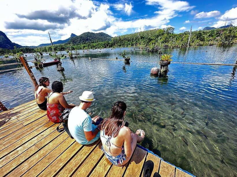 Krabi: Klong Root (Crystal lake) Kayaking tour - Pineapple plantation: why the fruit stop is more than a souvenir stop