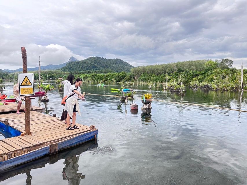Krabi: Klong Root Kayaking Viewpoint,Fish Feeding and more - Fish feeding at the pier: fun, simple, and quick