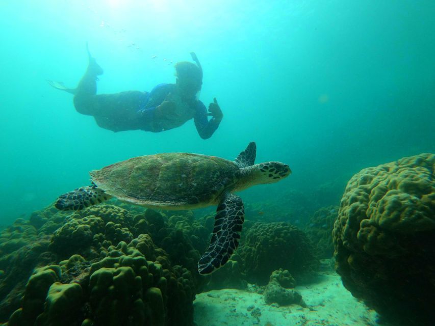 Krabi: Koh Rok & Koh Haa Hidden Snorkeling Tour by Speedboat - What to bring (so the day feels easy)