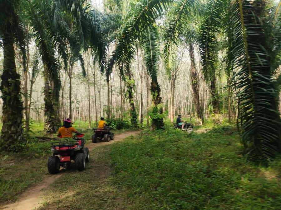 Krabi : Krabi kayak & ATV Jungle adventure (group of 10 max) - Wildlife You Can Actually Notice: Starfish, Crabs, and Monkeys