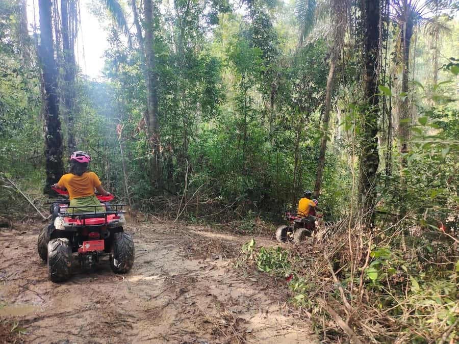 Krabi : Krabi kayak & ATV Jungle adventure (group of 10 max) - From Kayak Back to the Pier: Seasonal Fruit and a Quick Reset