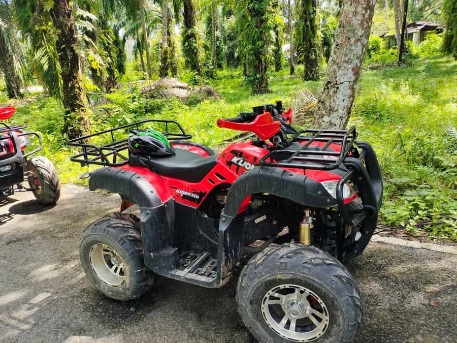 Krabi : Krabi kayak & ATV Jungle adventure (group of 10 max) - What’s Not Included (So You Don’t Get Caught Hungry or Surprised)