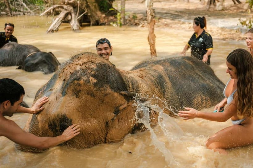 Krabi: Love Elephant Sanctuary Tour - Key things that make this Krabi elephant tour worth your time