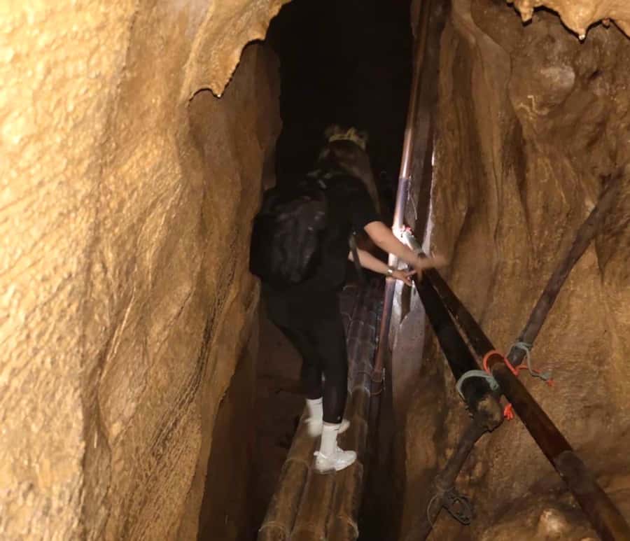 Krabi: Mangroves and Khao Kanab Nam Cave Tour with Lunch - Price and value: is $67 for 3 hours actually fair?