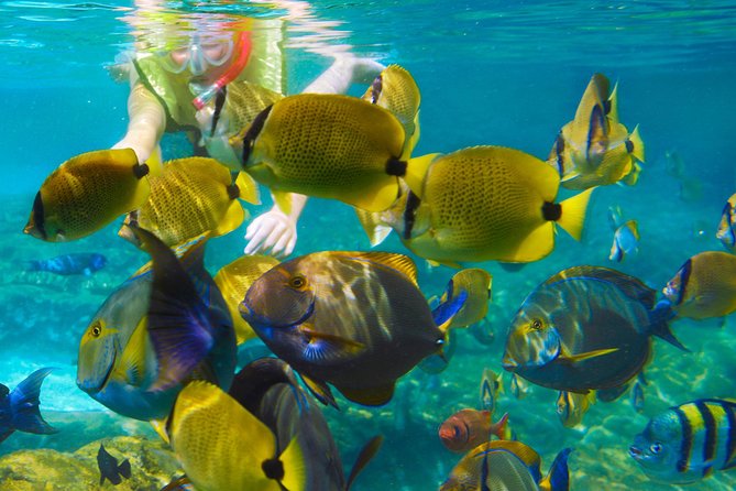 Krabi Nice Sea Snorkeling - Key points at a glance