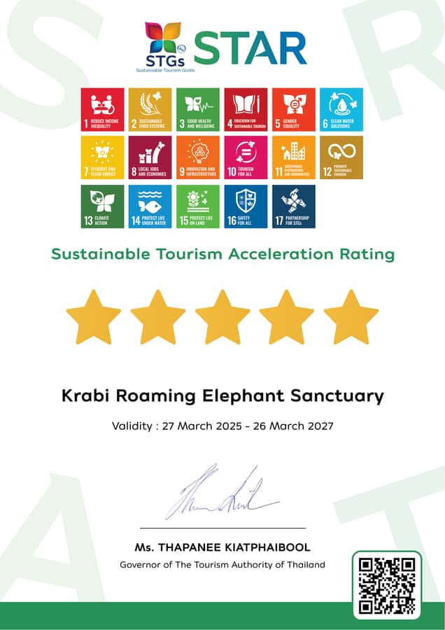 Krabi: Observation-Only Elephant Sanctuary 2hrs Mini Moments - Key moments that make this experience worth your time