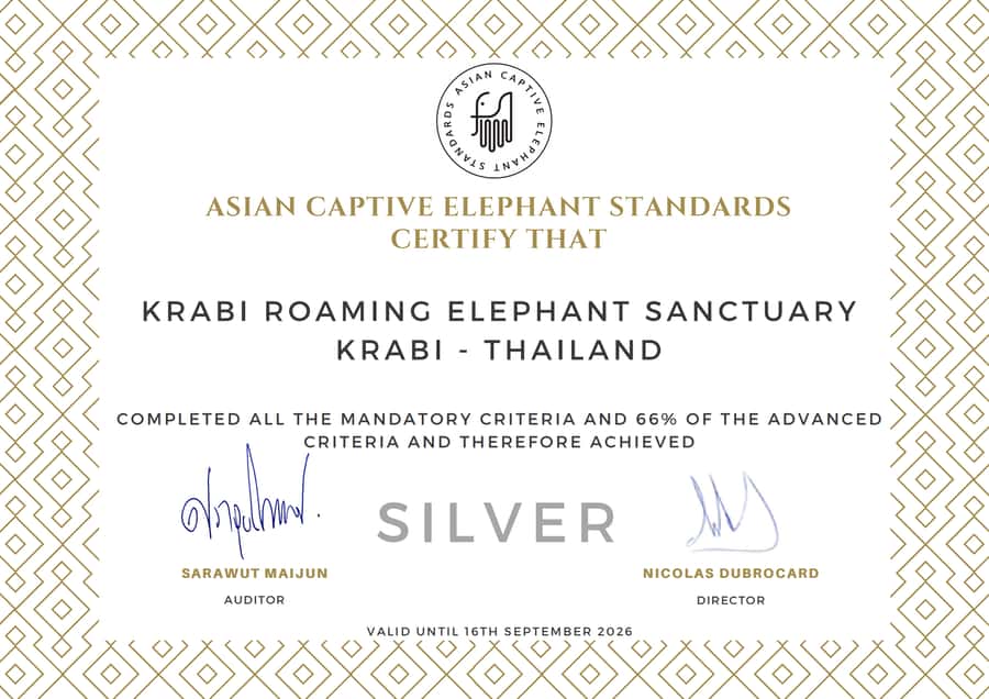 Krabi: Observation-Only Elephant Sanctuary 2hrs Mini Moments - Price and Value: Is $68 Worth It?