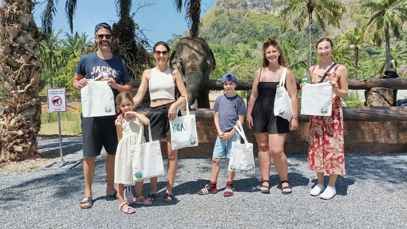 Krabi: Observation-Only Elephant Sanctuary Half-Day & Meal - Thai Sticky Rice Banana Wraps: making elephant snacks