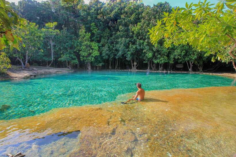 Krabi Outback Explorer to Emerald Pool & Wareerak Hotspring - Who Should Book, and Who Should Skip