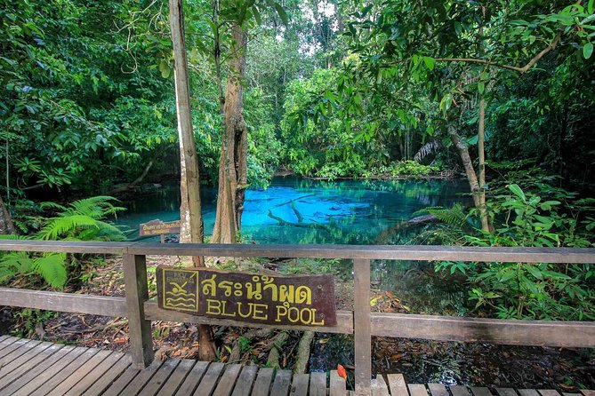 Krabi Outback Explorer to Emerald Pool, Wareerak Hotspring and Beyond - Thai lunch in Nuea Khlong: fuel that does not derail the day