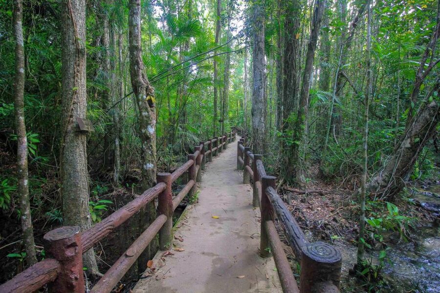 Krabi Outback Explorer with Thrilling ATV Ride - Morning Pickup and the Khao Pra Bang Khram Rainforest Walk