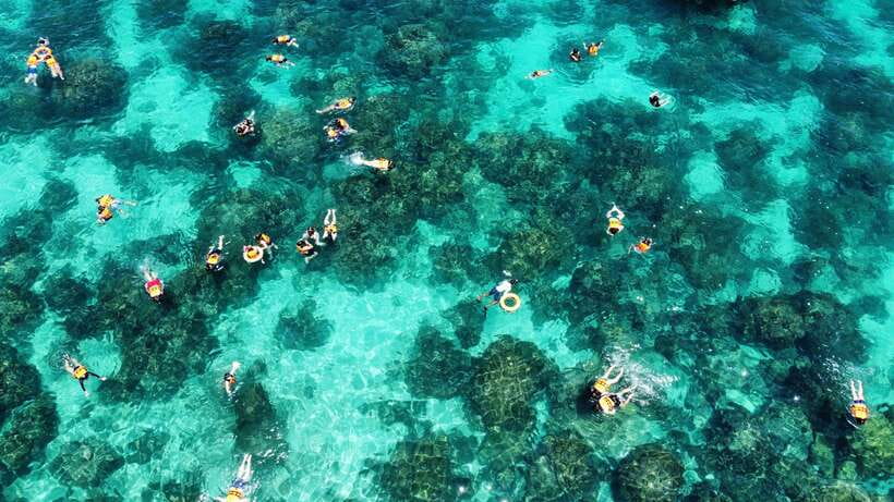 Krabi: Phi Phi and 4 Islands with Snorkeling by Speed Boat - Key highlights to know before you go