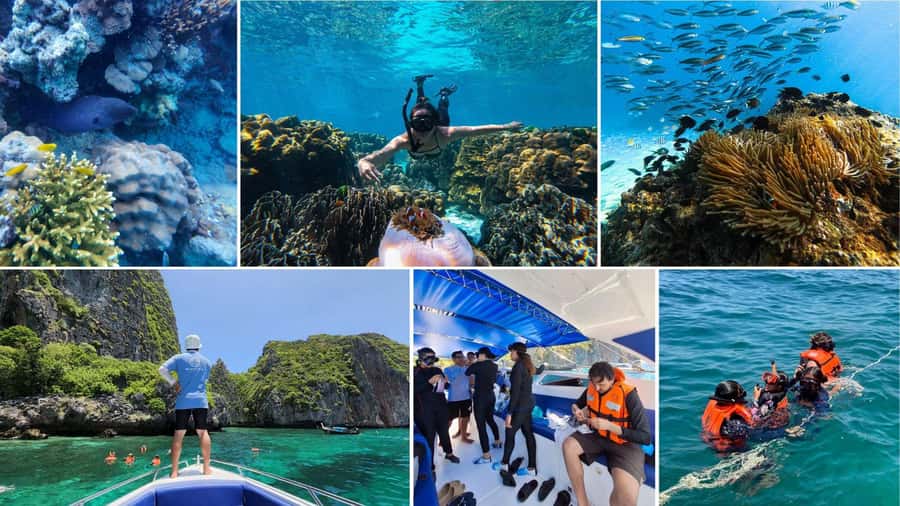 Krabi: Phi Phi Islands Full-Day Private Speedboat Charter - Lunch at Arida Restaurant 2: budget it, and don’t expect fine-dining