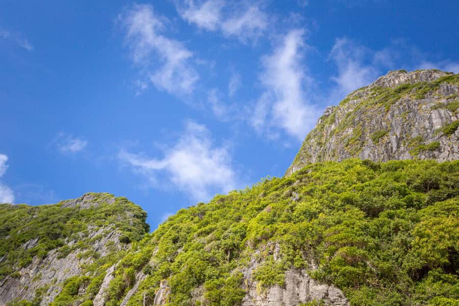 Krabi: Phi Phi Luxury Private Longtail Boat Tour - Price and value: what you’re paying for at $241 per person