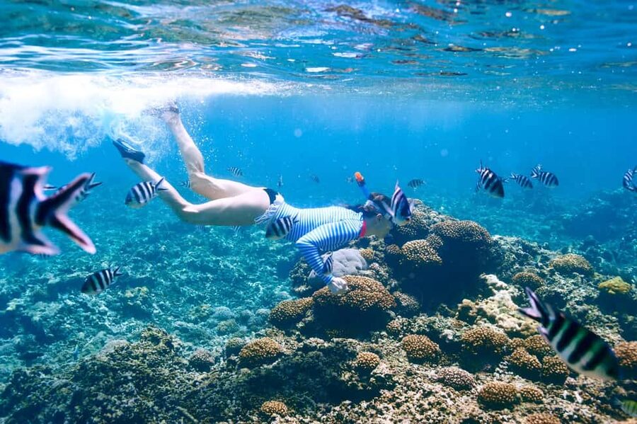 Krabi: Premium Phi Phi Islands Day Trip with Lunch & Snorkel - Key things worth knowing before you go