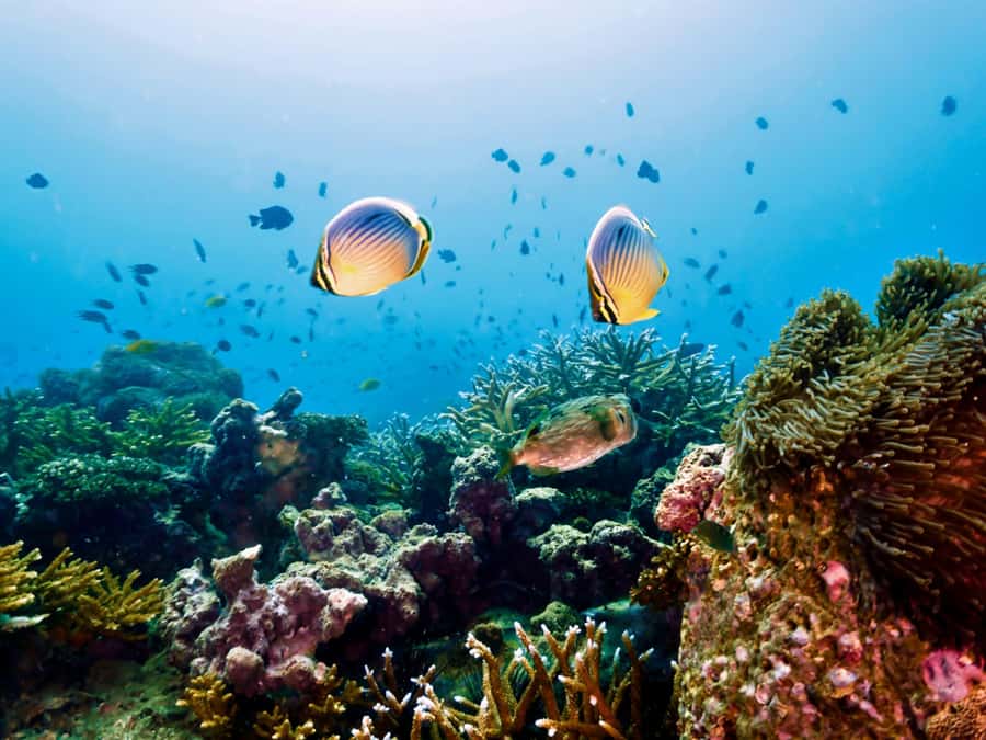 Krabi: Private 4 Islands Snorkeling Tour with Long-Tail Boat - Ko Poda: lunch, photos, and a second chance to snorkel