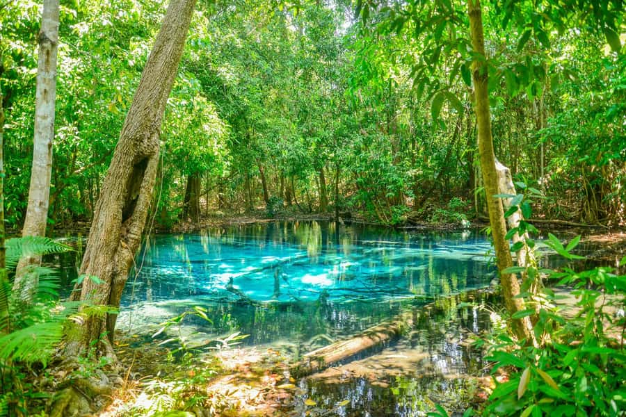 Krabi Private Escape: Emerald Pool, Hot Springs & Tiger Cave - Private Van, Your Pace: What This Krabi Day Feels Like