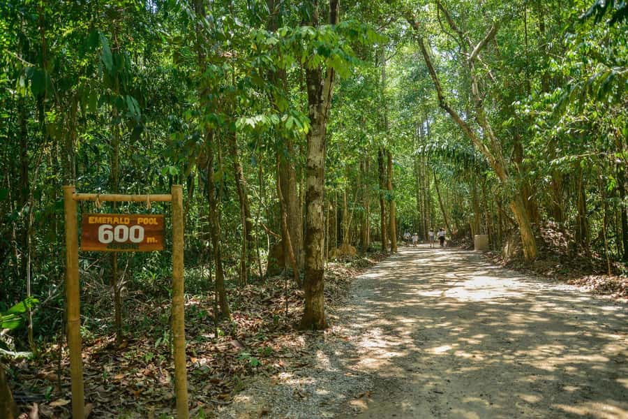 Krabi Private Escape: Emerald Pool, Hot Springs & Tiger Cave - Hot Stream Krabi: A Natural Spa Break for Tired Legs