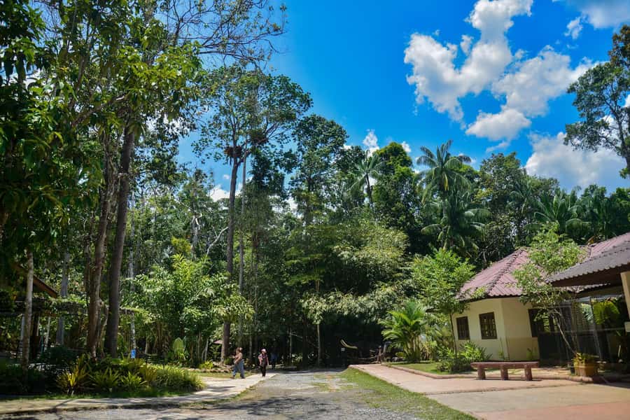 Krabi Private Escape: Emerald Pool, Hot Springs & Tiger Cave - Skip-the-Line Tickets, Driver-Led Visits: How the Day Stays Easy