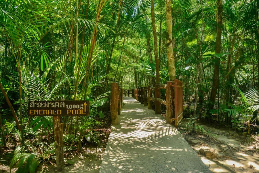 Krabi Private Escape: Emerald Pool, Hot Springs & Tiger Cave - Price and Logistics: Is $159 for Two Worth It?