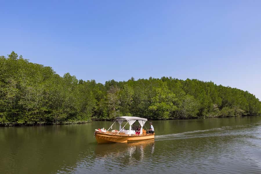 Krabi Private Gondola Cruise with Lunch and Picnic - The mangrove tunnel cruise: where photos and wildlife line up