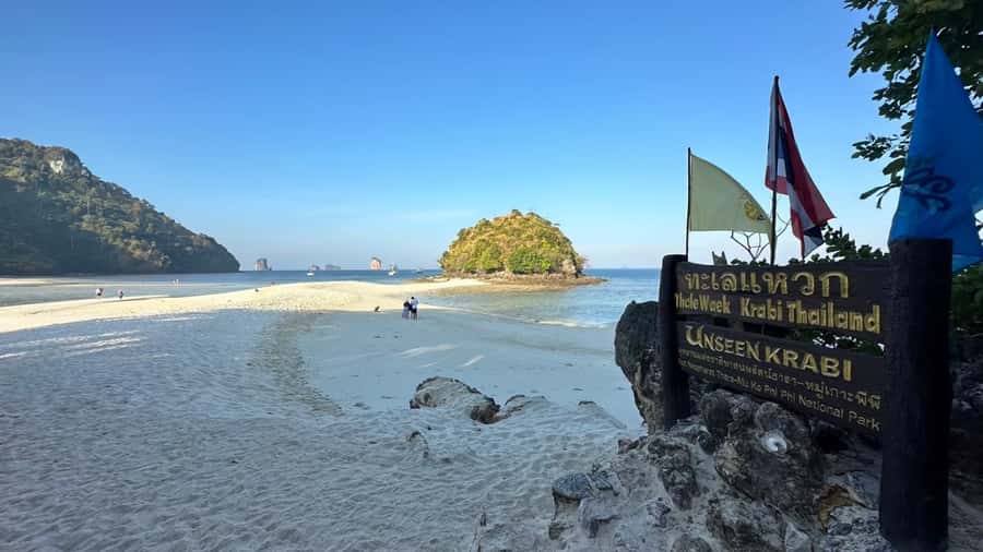 Krabi: Private Long Tail Boat to the 4 Islands - Choosing 5:30 AM or 12:30 PM: what the timing changes