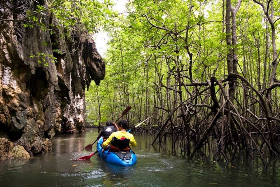 Krabi: Private Sea Kayaking in Ao Thalane and Hong Island - Kayaking Ao Thalane Mangroves and the Karst Channel System