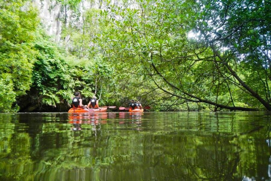 Krabi: Private Sea Kayaking in Ao Thalane and Hong Island - Snorkeling in Clear Water (With Tropical Fish)
