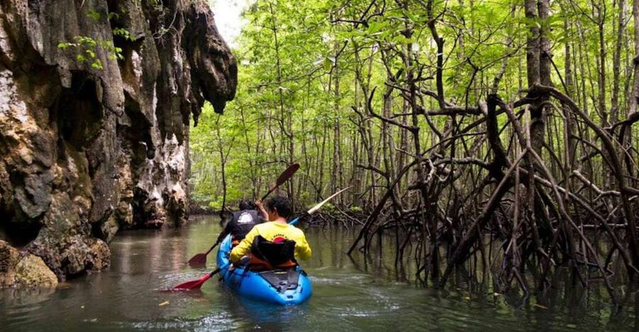 Krabi: Private Sea Kayaking in Ao Thalane and Hong Island - Wildlife Time: Kingfishers, Little Herons, and Macaques