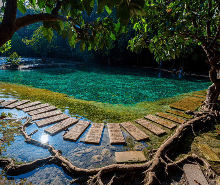 Krabi: Rainforest Jungle Tour with Emerald Pool & Hot Spring - Jungle Walks, Pools, and a Suspension Bridge: The Big Ideas