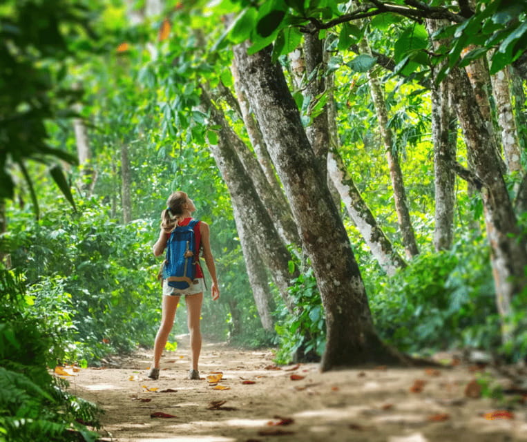 Krabi: Rainforest Jungle Tour with Emerald Pool & Hot Spring - What to Bring, What Not to Do, and How to Avoid a Bad Day
