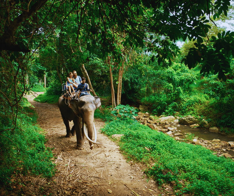 Krabi: Rainforest Jungle Tour with Emerald Pool & Hot Spring - Full-Day vs Half-Day: Tiger Cave Temple Is the Divider