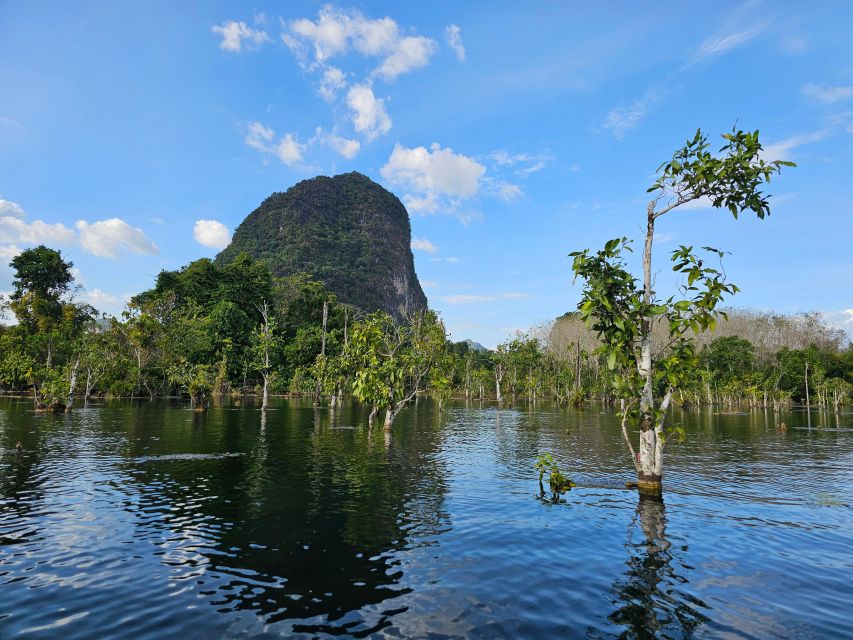 Krabi: South Kayak Klong Root Kayaking Tour - Key Things to Know Before You Go