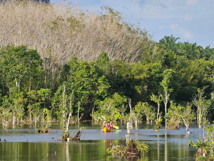 Krabi: South Kayak Klong Root Kayaking Tour - Should You Book This Klong Root Kayak Tour?