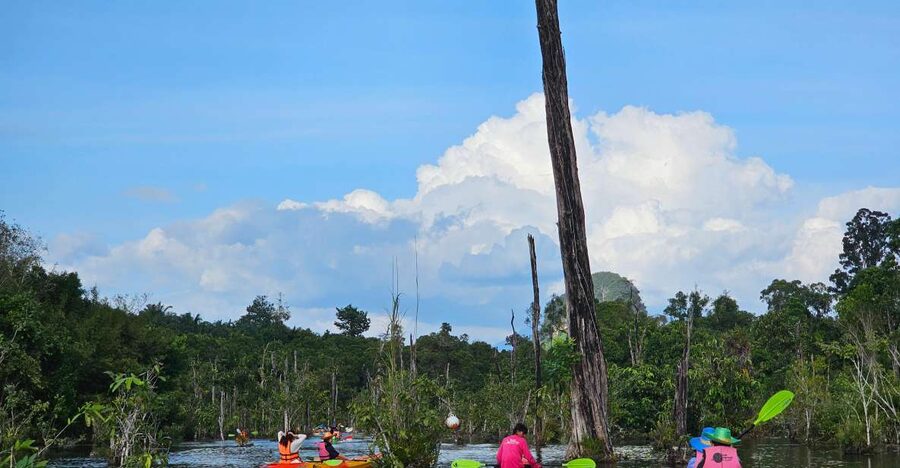 Krabi: South Kayak Klong Root Kayaking Tour - On the Water: How the 1-Hour Kayak Experience Works