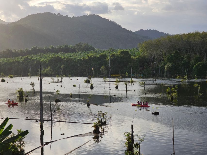 Krabi: South Kayak Klong Root Kayaking Tour - Entrance Fee vs. Tour Price: What You’ll Pay on Arrival