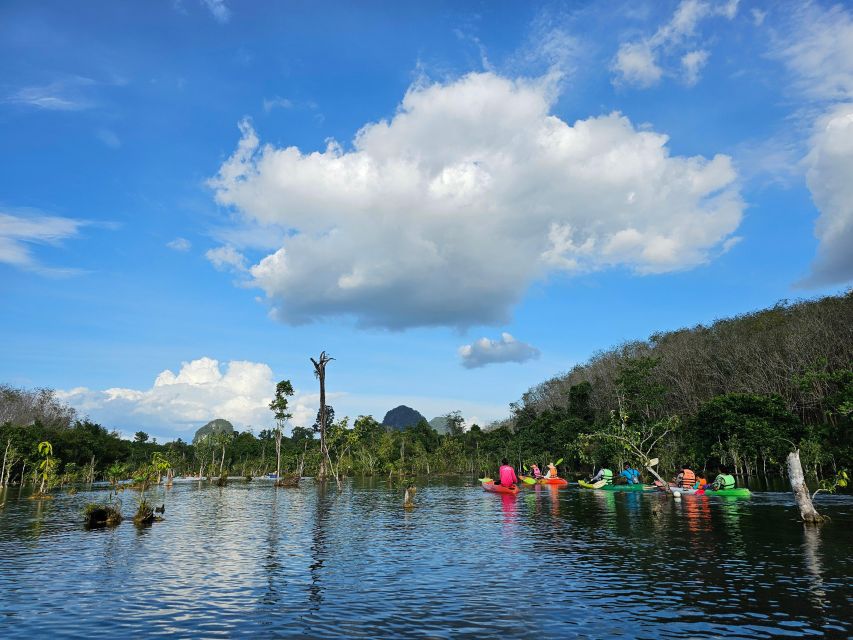 Krabi: South Kayak Klong Root Kayaking Tour - What Makes This Tour Feel Worth It (Even at 1 Hour)