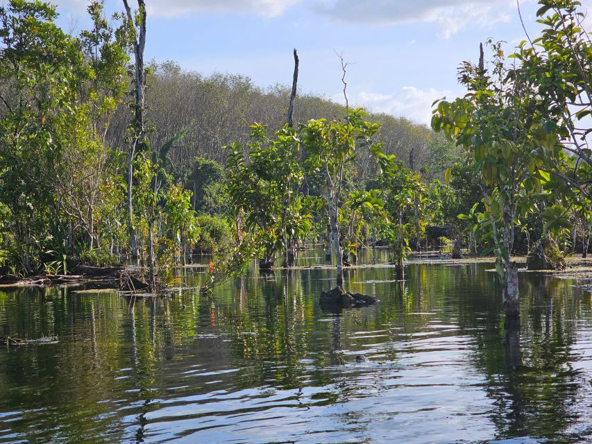 Krabi: South Kayak Klong Root Kayaking Tour - Pace, Comfort, and Who Should Skip It