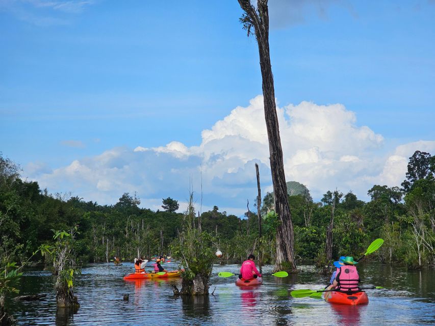 Krabi: South Kayak Klong Root Kayaking Tour - Timing, Pickup, and Where the Trip Starts in Ao Nang