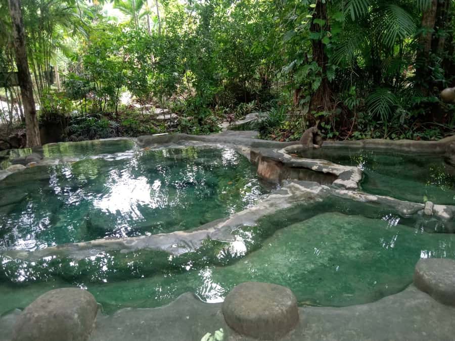 Krabi: Spa and Therapy Half, 1-Hour, or Full-Day Packages - Half-Day Kinnaree Rueng Ra: 9 AM to noon or 1 PM to 4 PM
