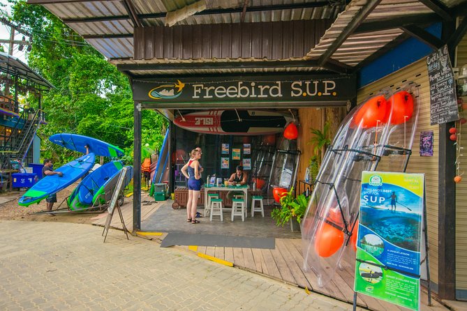 Krabi Stand-Up Paddleboard Illuminated Night Tour - What Makes Krabi’s Bioluminescent SUP Special at Night