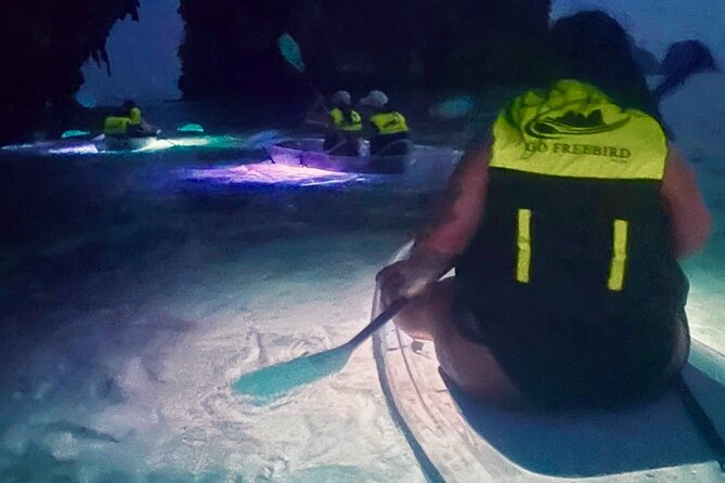 Krabi Stand-Up Paddleboard Illuminated Night Tour - Safety First: Life Jackets, Guide Support, and What to Expect Out There
