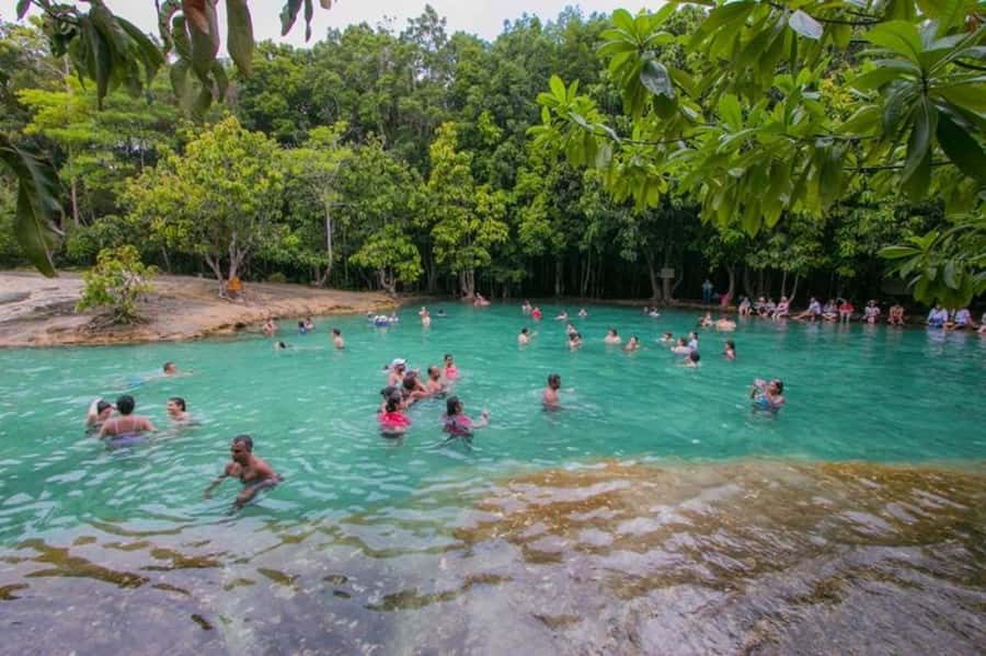 Krabi Tiger cave , emerald pool, hosspring waterfall jungle - Lunch between jungle stops (and why it’s part of the value)