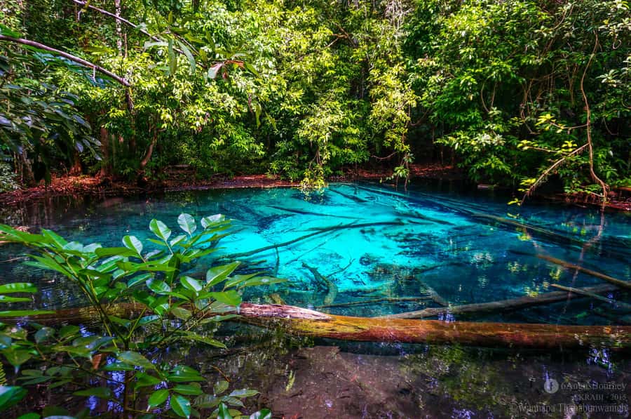 Krabi Tiger cave , emerald pool, hosspring waterfall jungle - Should you book this tour?