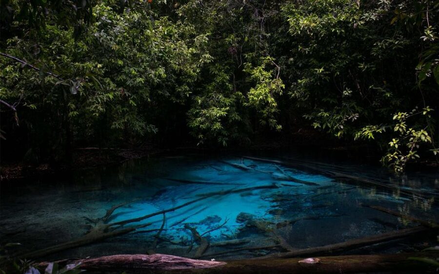 Krabi: Tiger Cave, Hot Springs and Emerald Pool Jungle Tour - Key things that make this tour worth your time