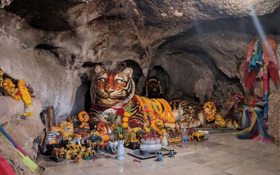 Krabi: Tiger Cave, Hot Springs and Emerald Pool Jungle Tour - Tiger Cave Temple: 1,260 steps, big views, and a real warning