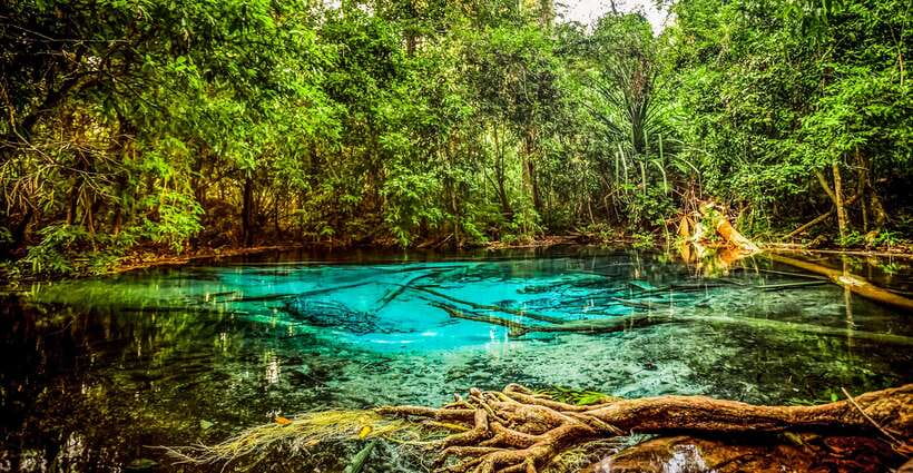 Krabi: Tiger Cave Temple, Emerald Pool and Hot Springs Tour - Lunch at a local restaurant: simple fuel, not a food tour