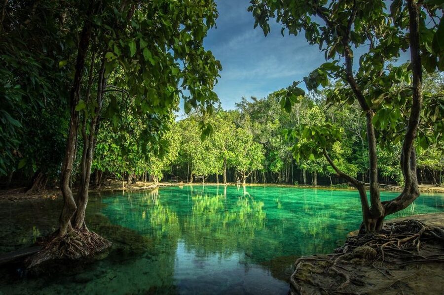 Krabi: Tiger Temple, Hot Springs & Crystal Pool Jungle Tour - Krabi jungle day, built around real temperature changes