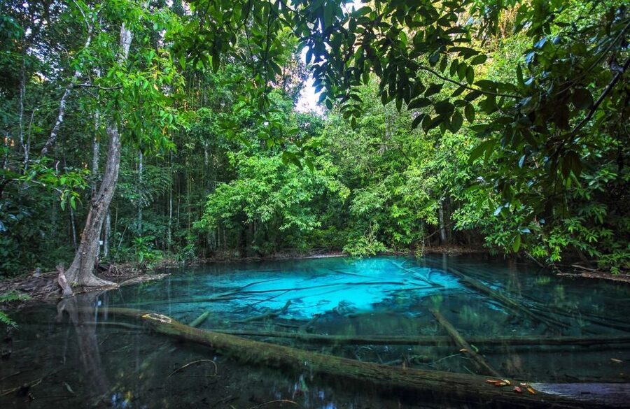 Krabi: Tiger Temple, Hot Springs & Crystal Pool Jungle Tour - What to pack so you’re comfortable at every stop