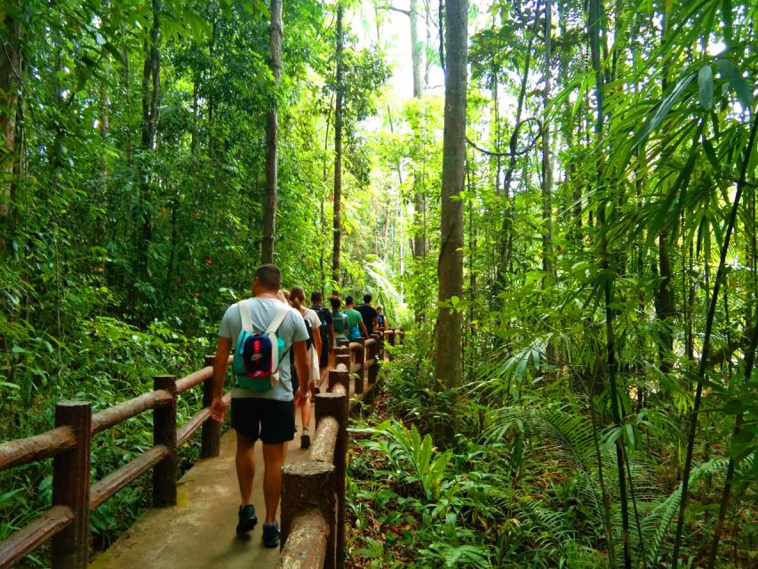 Krabi: Tiger Temple, Hot Springs & Crystal Pool Jungle Tour - Emerald Pool (Sra Morakot) rainforest walk and that mineral-green swim